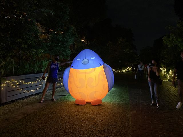 Cute inflatable birds! 🕊