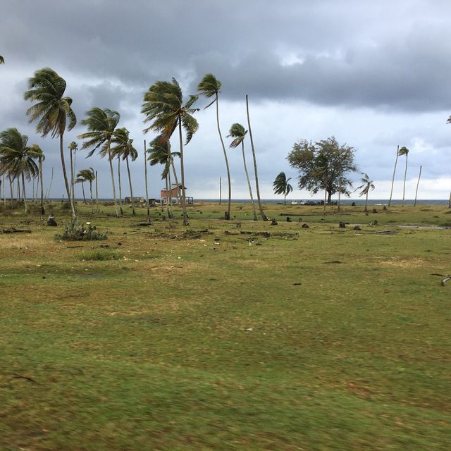 Heartwarming attracted beach!