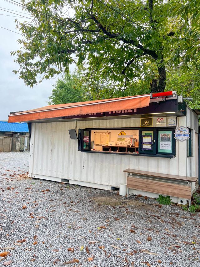 북한강 앞쪽에 위치한 더드림핑 글램핑⛺️