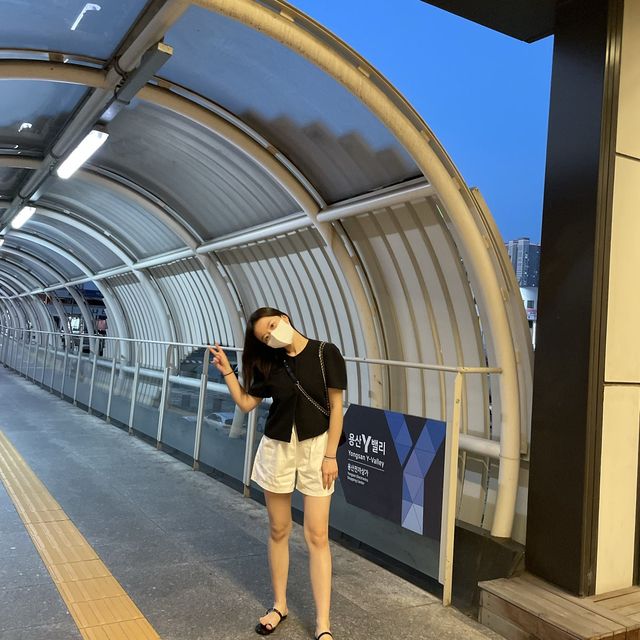용산 빅사이즈 햄버거 ‘메가버거’