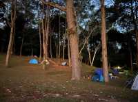 🌳อุทยานแห่งชาติตากสินมหาราช (ต้นตะบากใหญ่)🌳