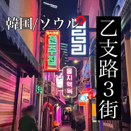 韓国/ソウル【乙支路3街】超ローカル🤍ビール好きの方に行ってほしいお店🍺💕