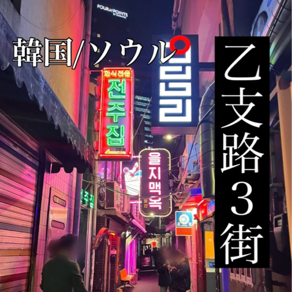 韓国/ソウル【乙支路3街】超ローカル🤍ビール好きの方に行ってほしいお店🍺💕