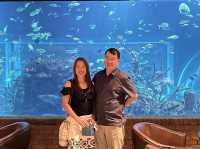 Fine Dining at Koral Aquarium Restaurant
