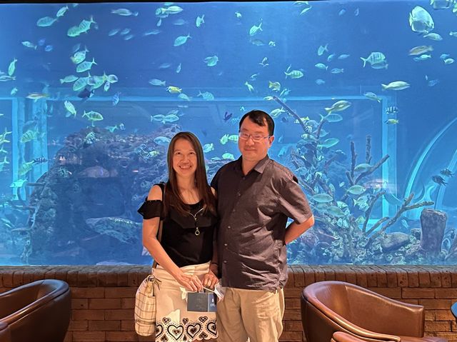 Fine Dining at Koral Aquarium Restaurant