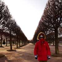 พระราชวังฤดูร้อน ในฤดูหนาว Peterhof st.peterburg