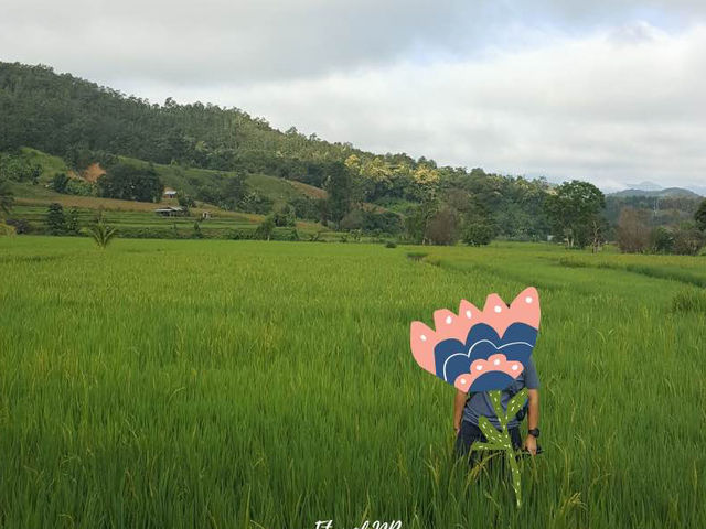 เฮินไตรีสอร์ท แม่ลาน้อย 🏕️