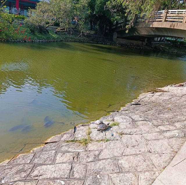 城市中一片靜土~屯門公園