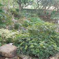 沙田中央公園