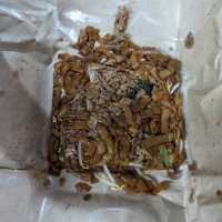 阿亮Fried Kueh Tiaw 