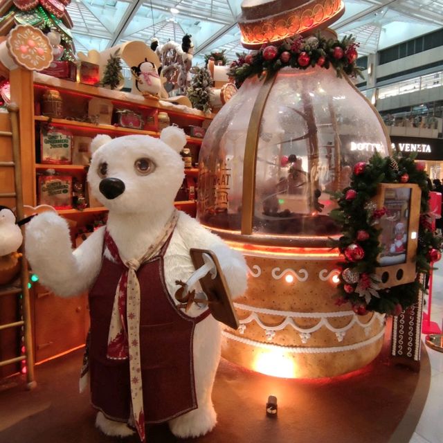 ✨Merry Christmas置地廣場華麗裝飾過聖誕🎊🤶🎄😍✨