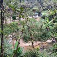 キャメロンハイランドの中心部から気軽に行けるハイキングコース　Taman Eko Rimba Parit Falls H