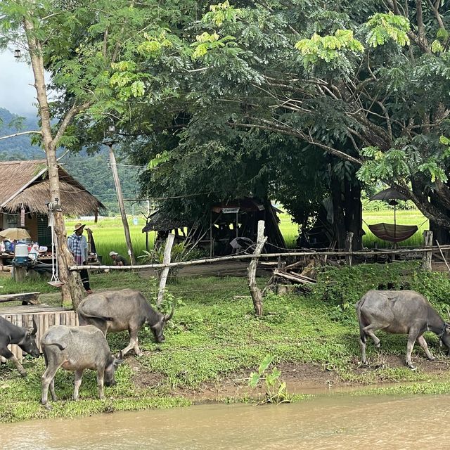 ไปเที่ยวเมืองคอง จ.เชียงใหม่ คนเดียว