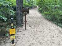 Three Dunes Challenge Hike 