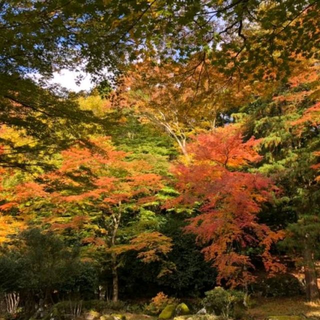 英彦山の紅葉