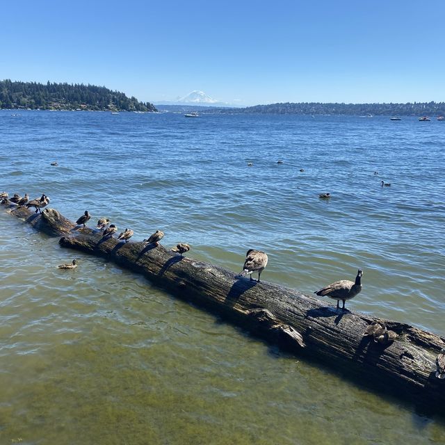 Seward Park