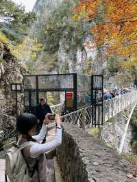 迪士尼城堡的原型🏰🦢