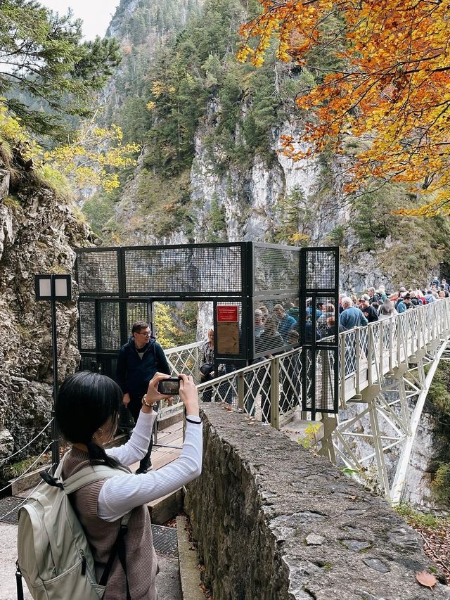 迪士尼城堡的原型🏰🦢