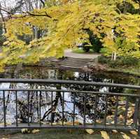 Bernus Park and its History 