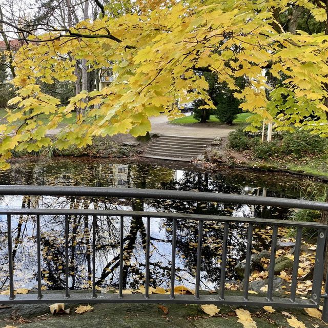 Bernus Park and its History 