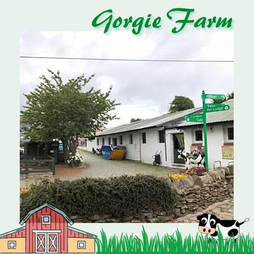 愛丁堡城市中的友好小農場Gorgie Farm