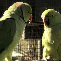Al Areen Wildlife Park & Reserve