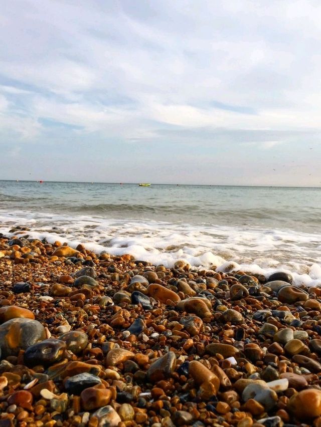 Welcome to Brighton 🏖️🦀🐚🇬🇧