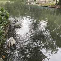 Jurong Bird Park Singapore