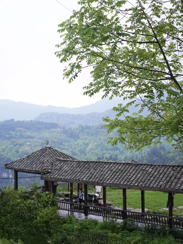 Chongqing Nanchuan self-driving, meet the tea village.