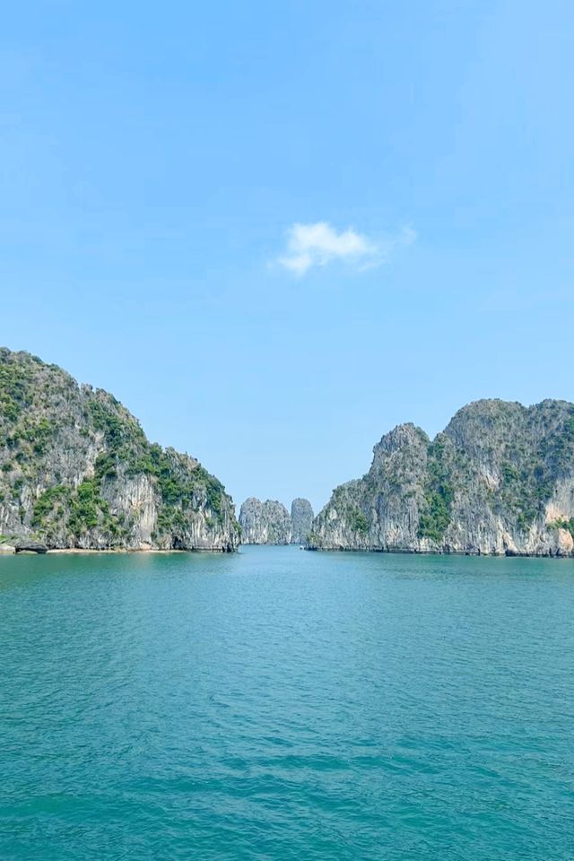 Are you going to visit "Halong Bay on the Sea" in Vietnam?