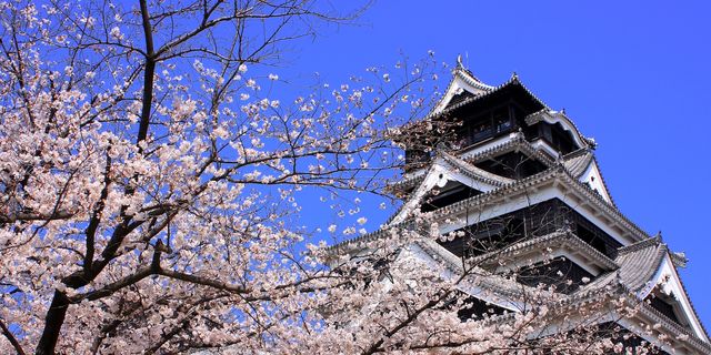 【2024日本櫻花季】九州人氣賞櫻景點推介：熊本城、舞鶴公園、西都原古墳群、御船山樂園、大村公園 | 九州