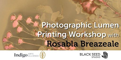 Lumen Printing Workshop With Rosalba Breazeale | Indigo Arts Alliance, Cove Street, Portland, ME, USA