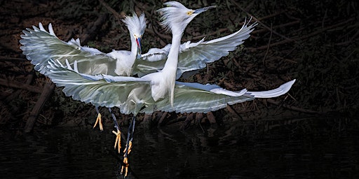 Gallery Reception: A Journey in Images: The Photography of Yun Thwaits | Harvard Ed Portal