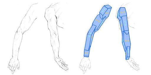 Tutored Life Drawing: The Joints | Draw Brighton