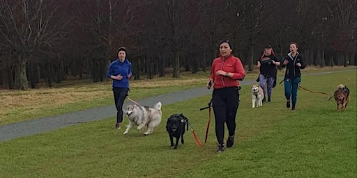 Beginners Canicross Workshop | Phoenix Park