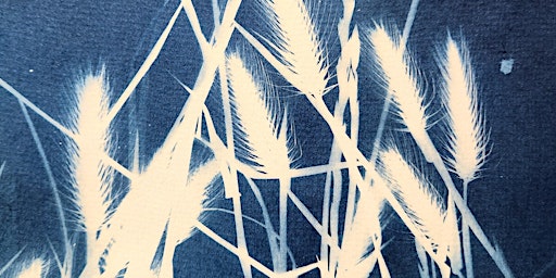 Cyanotype Printmaking with Ellen Schlobohm - a Tiny Gems Workshop | Barker Inlet Wetlands