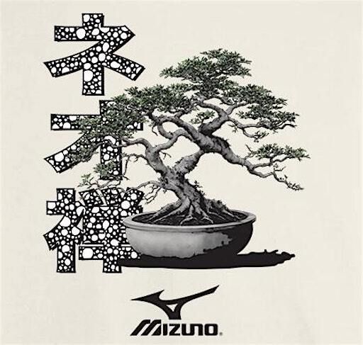 VIP ZenFest by Mizuno Media Event | Cosmic Saltillo