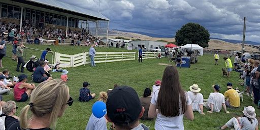 2025 Hamilton Show | 5595 Lyell Highway, Hamilton TAS, Australia
