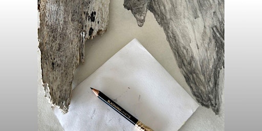 Pushing the pencil to the limit with artist Susan Ewen | Franklin Arts Centre