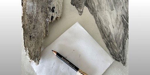 Pushing the pencil to the limit with artist Susan Ewen | Franklin Arts Centre