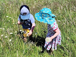 Bug Hunting at Lorton Meadows | Lorton Meadows Conservation Centre & Nature Reserve
