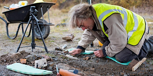 Brymbo Fossil Forest 'Sneaky Peek' Guided Tour (Inc. free coffee & cake) | Stori Brymbo