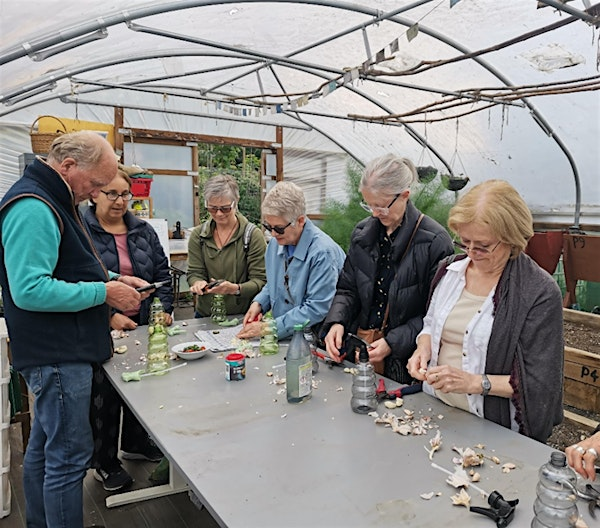 Introduction to Growing (6-week Course) | The Polytunnel at Vine Road Recreation Ground