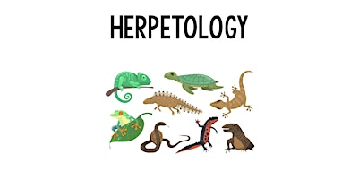 Reptile Roundup | 1816 W Baseline Rd