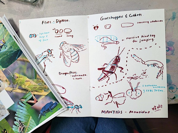 Nature Drawing at The Fishbowl! | The Fishbowl