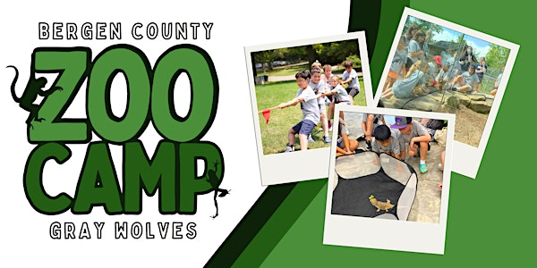 Gray Wolves (9-12yo) July 28 - August 1 | Bergen County Zoo