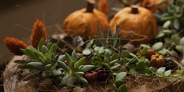 Huckleberry Sprig's Fall Succulent Garden Workshop | Sumach Espresso