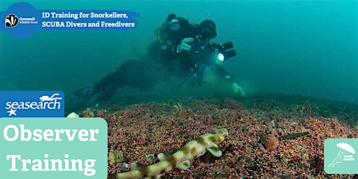 Seasearch Observer Course | Shortlanesend Village Hall