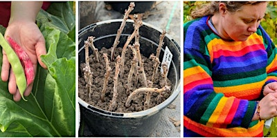 PLANTstart - free plants forever | Sheepdrove Organic Farm