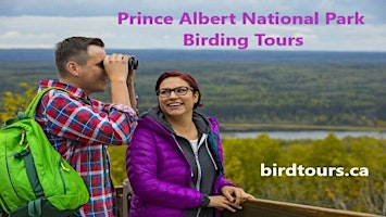 Prince Albert National Park 1-day Birdwatching Tour | Flying J Travel Center